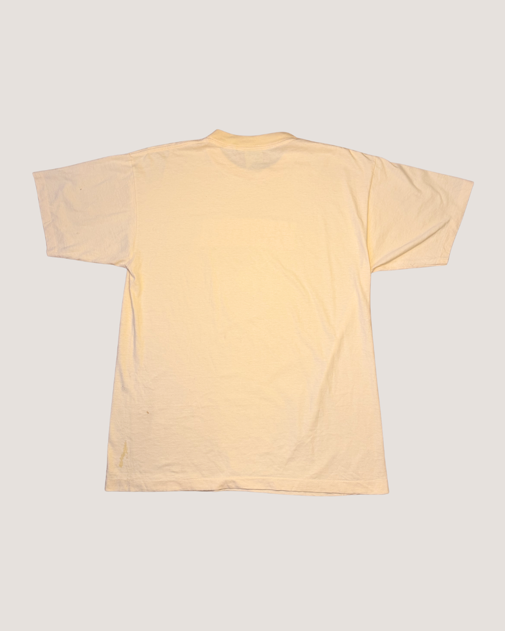 Alore Vintage T-shirt, Minnesota bold design