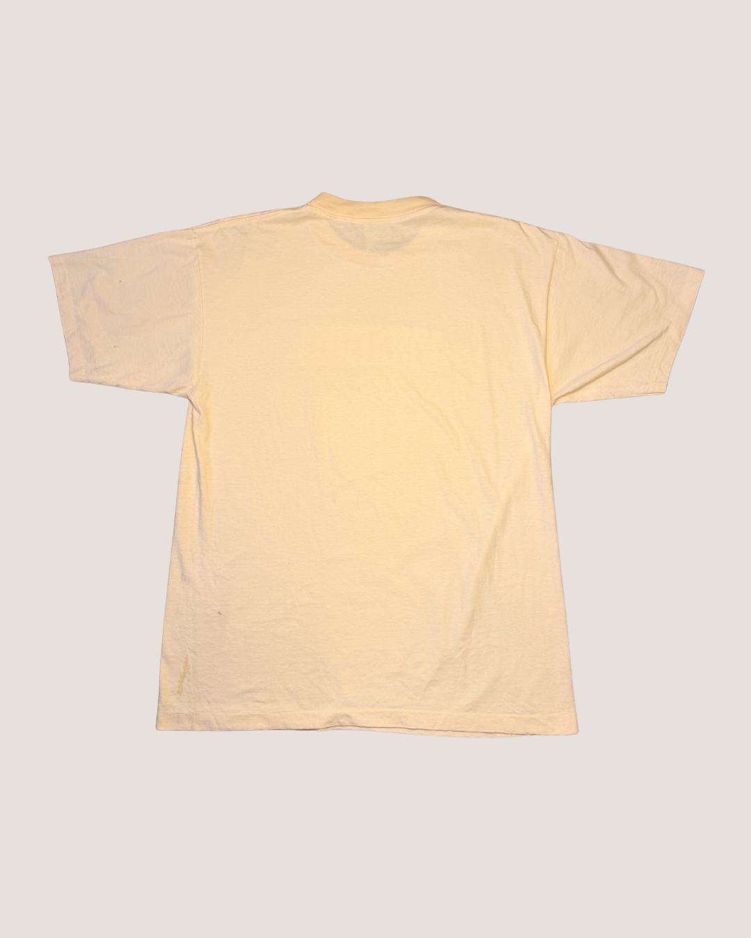 Alore Vintage T-shirt, Minnesota bold design