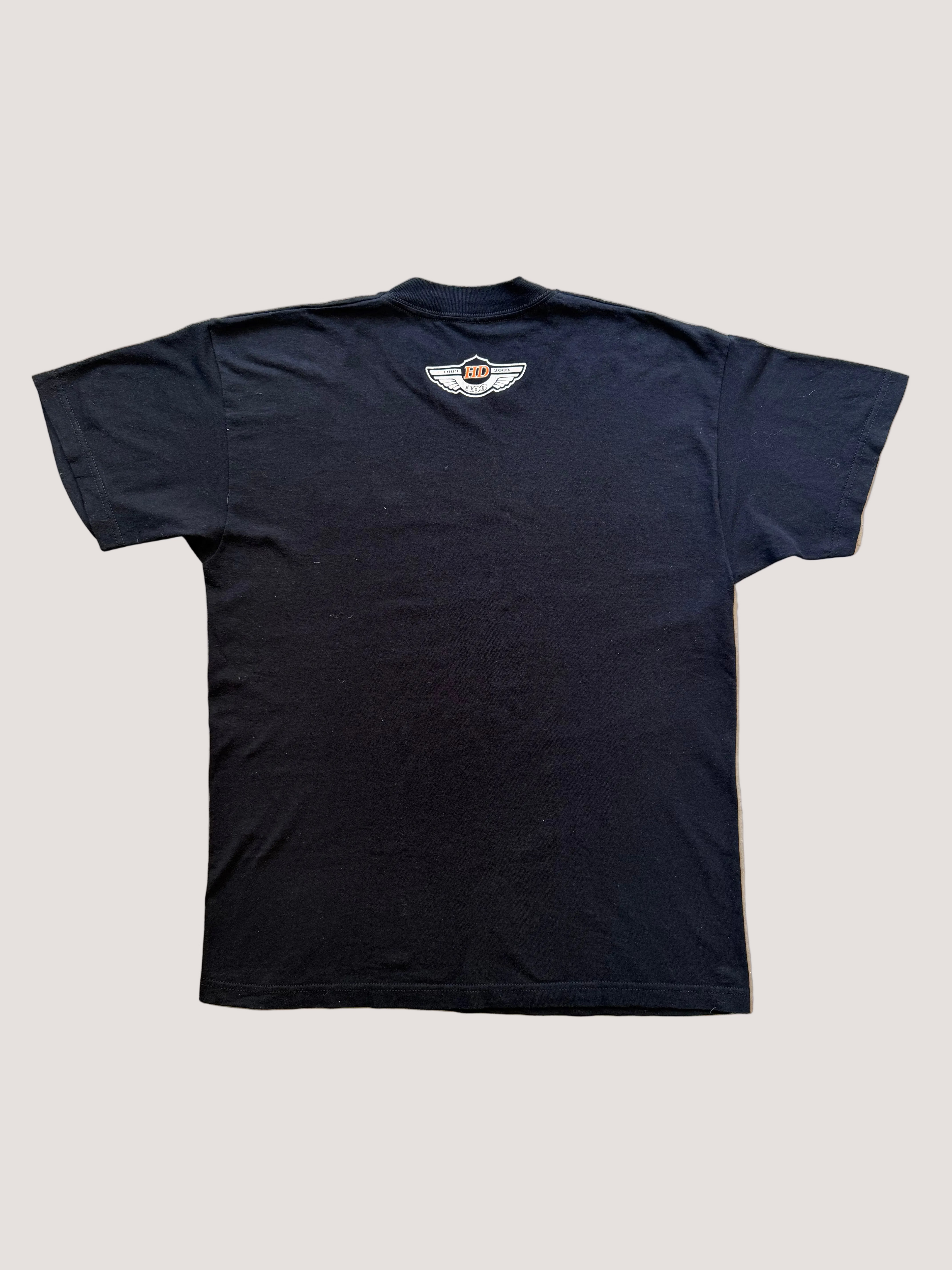 Vintage Harley-Davidson 100th Anniversary Tee